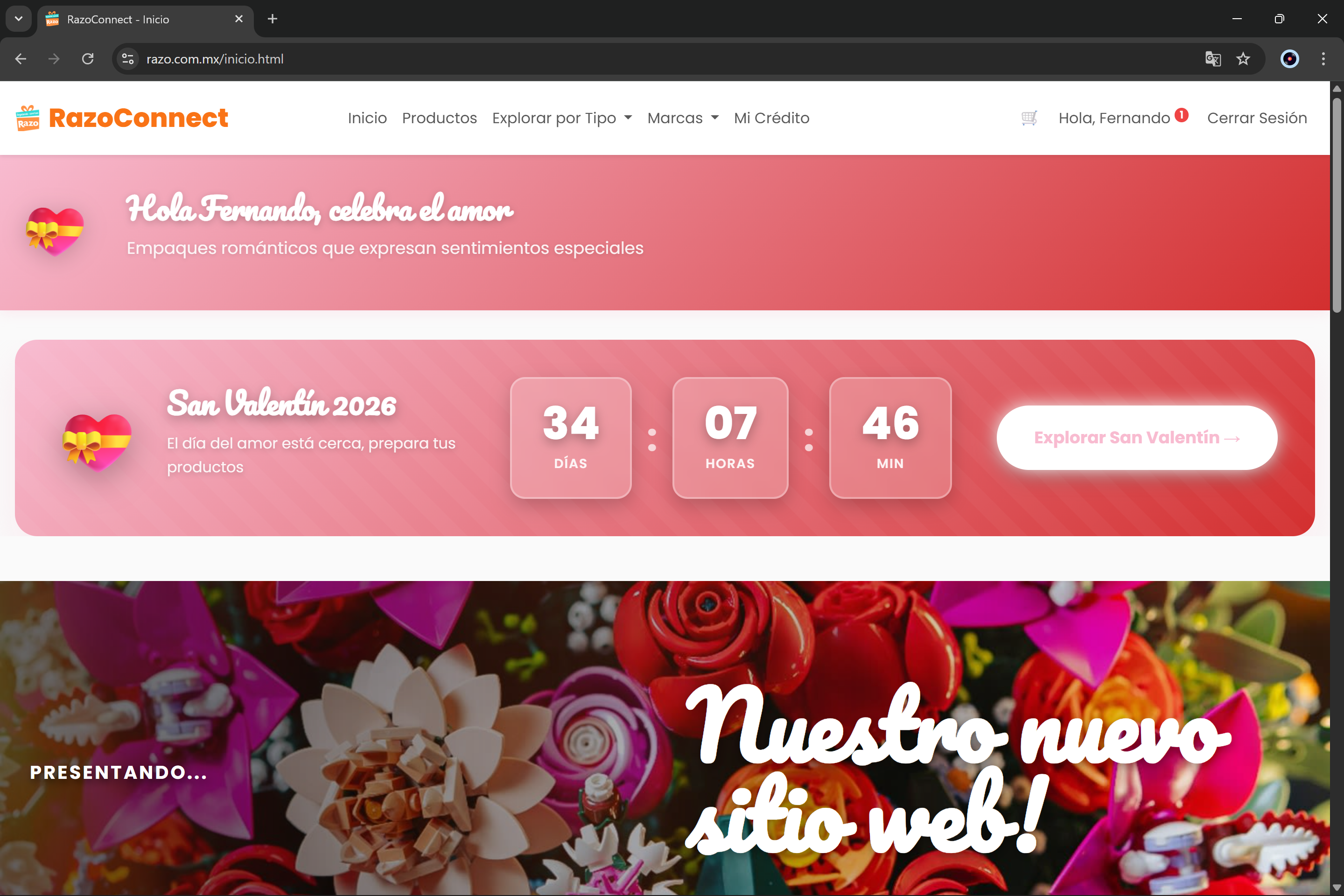 RazoConnect - Página principal